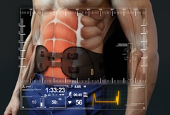 ELECTROTHERAPY STIMULATOR SYSTEM - BELT